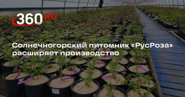 Солнечногорский питомник «РусРоза» расширяет производство