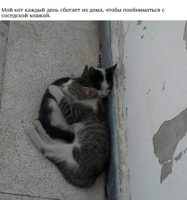www.vsyako.net