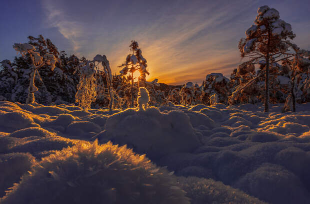 Frozen by Rune Askeland on 500px.com