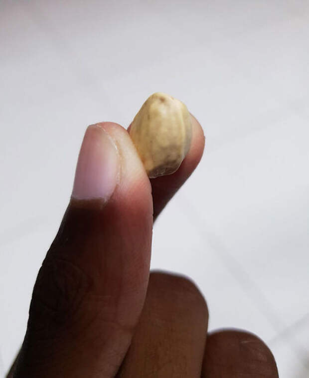 Pistachio Nuts With No Openings