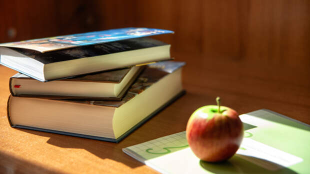 В школах введут новый предмет "ДНК России"