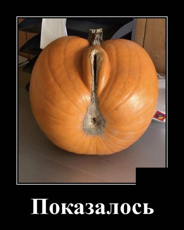Демотиваторы (20 фото)