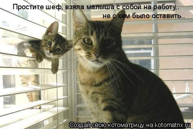 Простите шеф, взяла малыша с собой на работу,. не с кем было оставить..