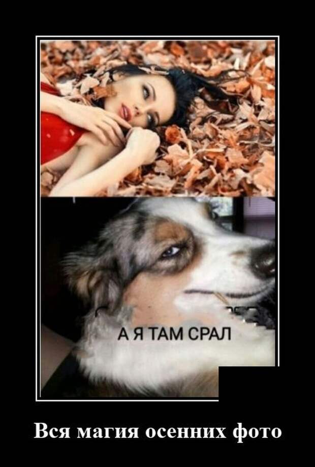 Демотиватор про осенние фото