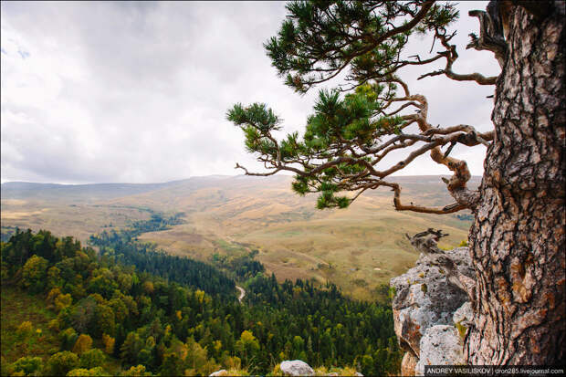 Плато Лаго-Наки
