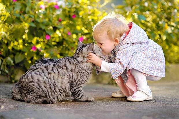 дети и коты, ребёнок и кот, kids with cats