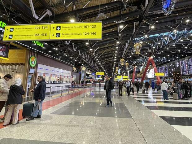 Временные ограничения введены в аэропортах Домодедово, Жуковский и Внуково