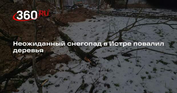 Неожиданный снегопад в Истре повалил деревья