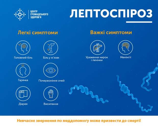 Врачи предупредили украинцев об опасности лептоспироза, чьи вспышки происходят после наводнений