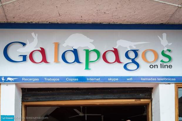 galapagos04 Галапагосы. Остров Санта Фе
