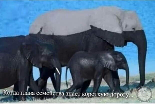 Короткий путь
