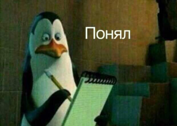 пингвин ковальски записывает в блокнот