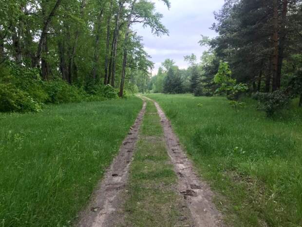 На Щукинском полуострове замечен эксгибиционист