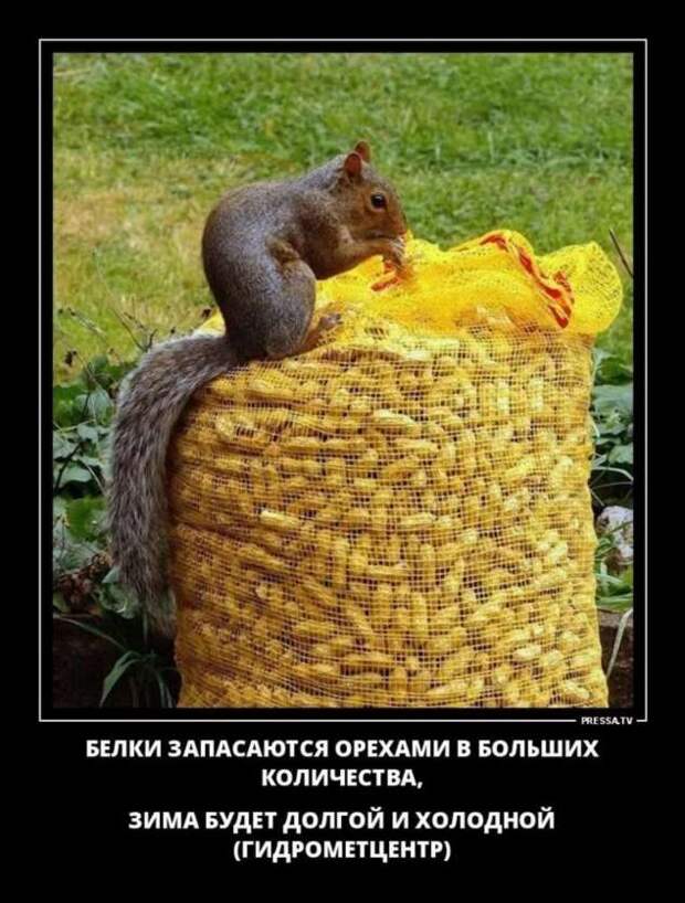 Неадекватный юмор из социальных сетей. Подборка chert-poberi-umor-chert-poberi-umor-45140625062020-9 картинка chert-poberi-umor-45140625062020-9