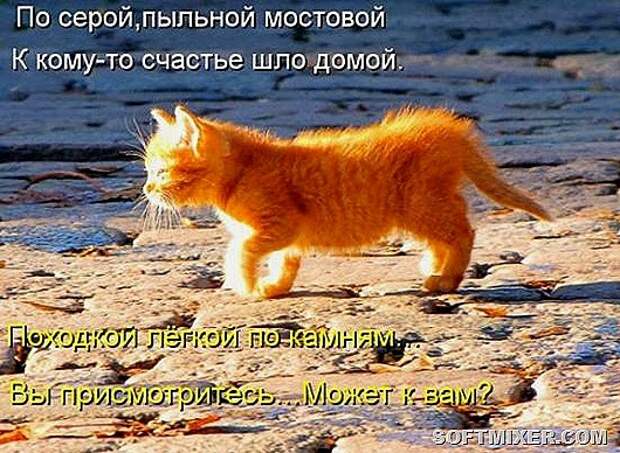3c023363f7f00a8975e4d6c2ea3_prev