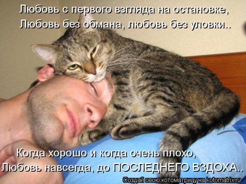 Новые крутые котоматрицы первой недели октября (50 фото) Новые крутые котоматрицы первой недели октября (50 фото)
