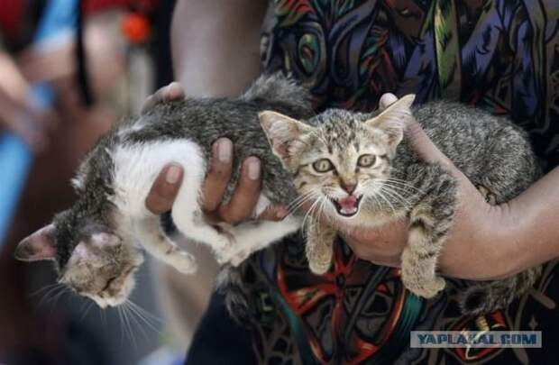 Снимки со всего мира, которые показывают, что такое Человечность