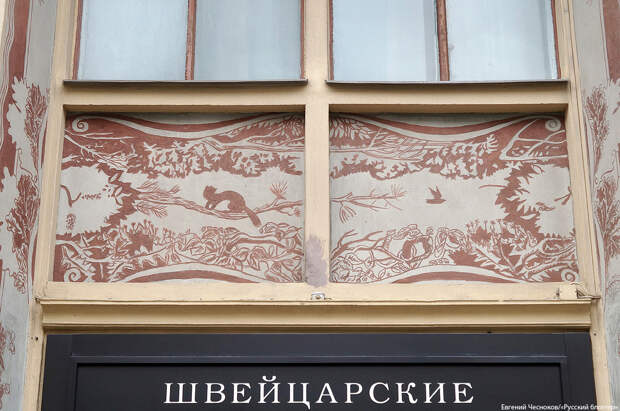 Московские птички 19