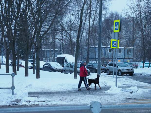Местный житель с собакой/Ольга Чумаченко