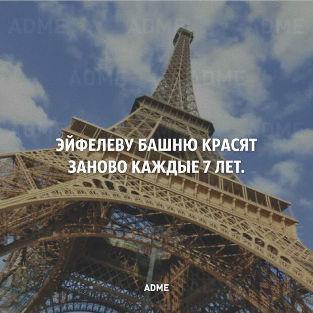 25 коротких фактов о нашем мире