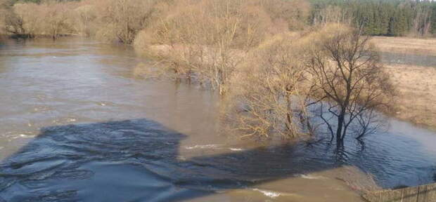 Двух девочек спасли в Шушенском с острова, где они оказались из-за подъема реки