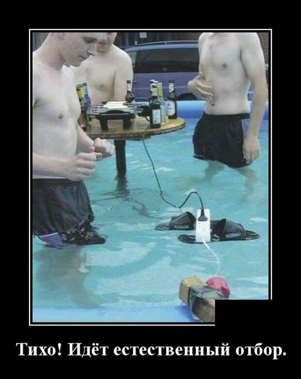 demotivatory-demotivator-smeshnye-demotivatory-demotivator-so-smyslom