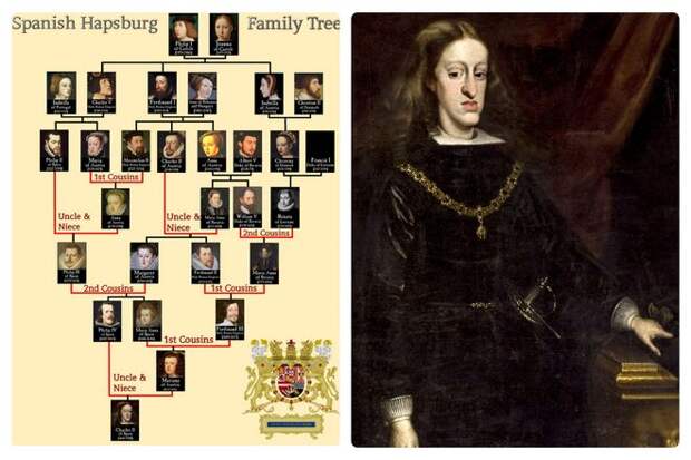 С 1516 по 1700 год девять из одиннадцати браков испанской ветви Габсбургов были кровосмесительными. Карл II, последний наследник мужского пола Испанской империи, был бесплоден. Он едва мог говорить и с трудом ел.