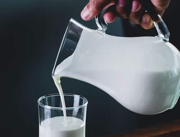 Кардиолог Акинина: молоко повышает уровень холестерина наряду с колбасой и сыром