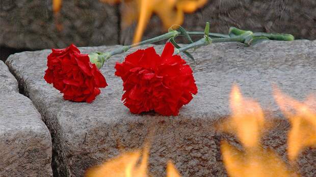 Теперь понятно, почему в СССР гвоздики были главными цветами траурных мероприятий: все дело в истории