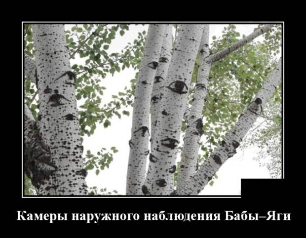 Демотиваторы (30 фото)