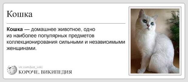 Очень конкретная Википедия 