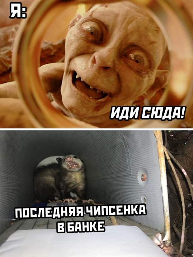Смешные картинки 6 июля 2021