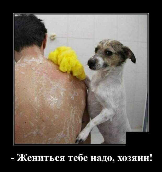 Демотиваторы (20 фото)