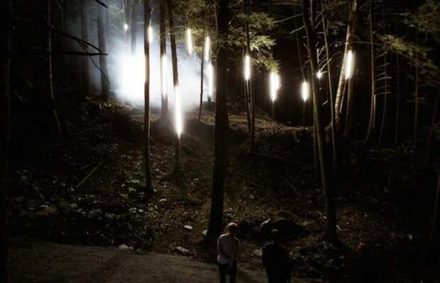 Заколдованный лес Foresta Lumina (11 фото + видео)