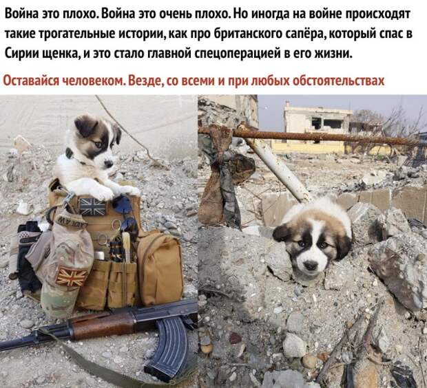 Доброта, которой нам так не хватает в ежедневных новостях Доброта, которой нам так не хватает в ежедневных новостях