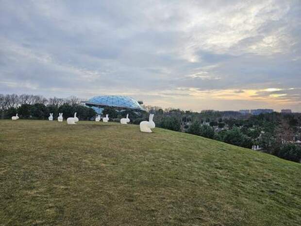 В парке Галицкого в Краснодаре создают гигантский искусственный кратер с висячим садом