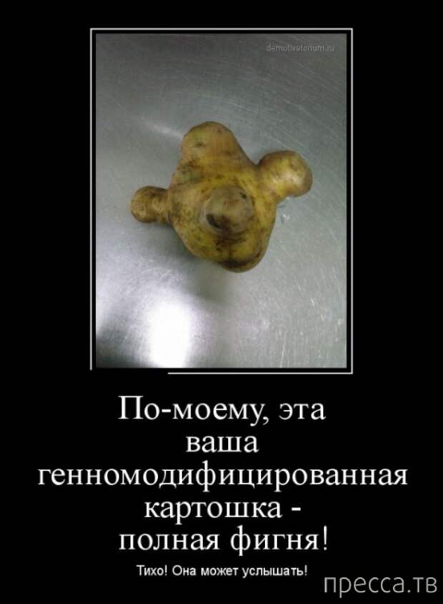 Самые злобные демотиваторы, часть 153 (31 фото)