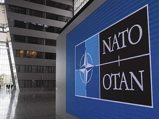 В Испании предложили провести голосование о выходе из НАТО