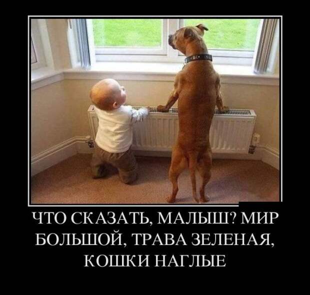 Демотиваторы (30 фото)