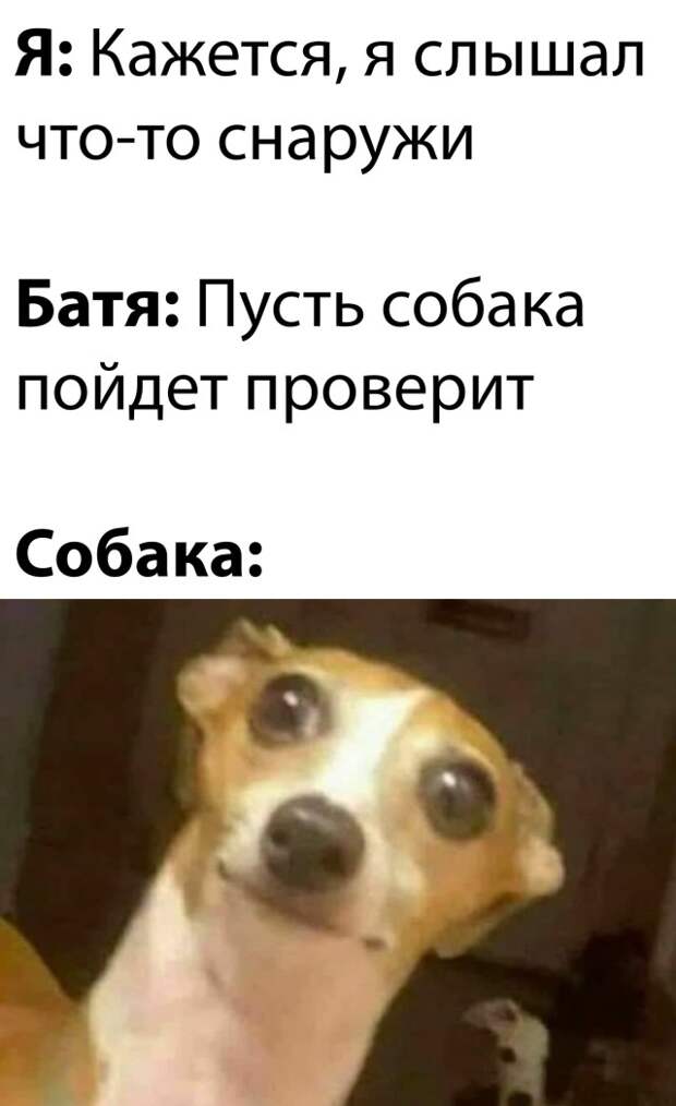 Смешные картинки 6 июля 2021