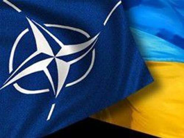 НАТО не будет воевать за Украину НАТО не будет воевать за Украину