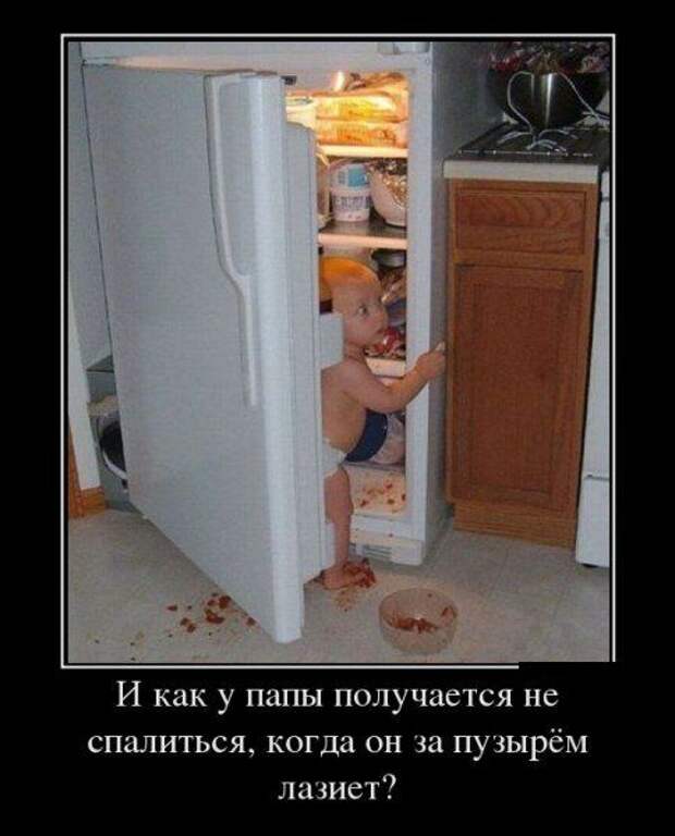 Немного новых демотиваторов