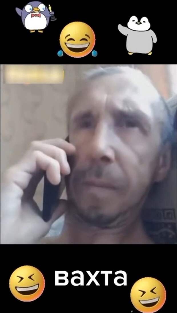 Сено жевать, а также рога лосям скотчем приматывать, когда отваливаются