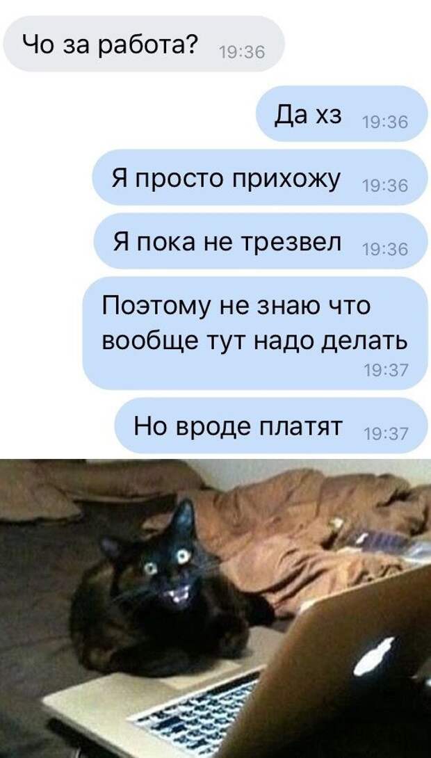 1571081418_0030.jpg