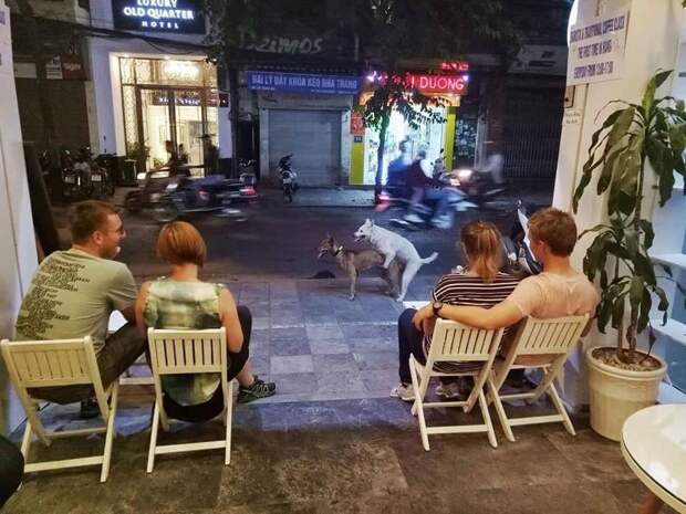 Подборка прикольных картинок