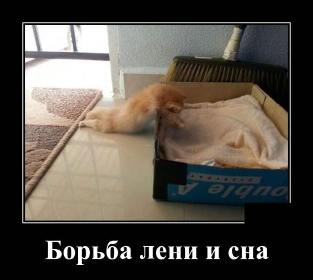 Демотиваторы (30 фото)