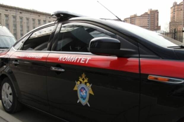 Главе ведомства доложат о ходе расследования уголовного дела по факту противоправных действий в отношении несовершеннолетней в Томской области