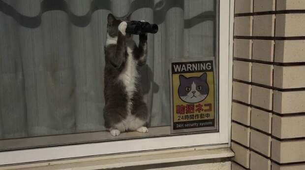 Лучшая система видеонаблюдения