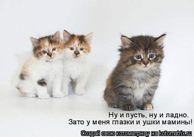 Ну и пусть, ну и ладно. Зато у меня глазки и ушки мамины!