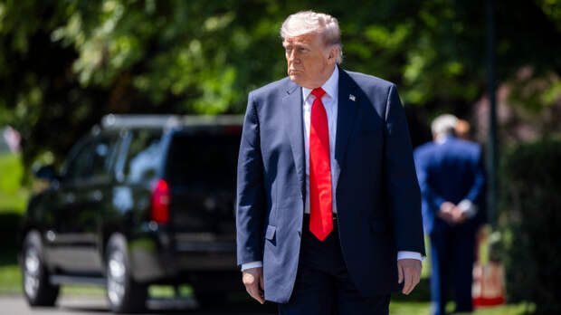 Еле отбился: «злая» пчела с пасеки Белого дома атаковала Трампа